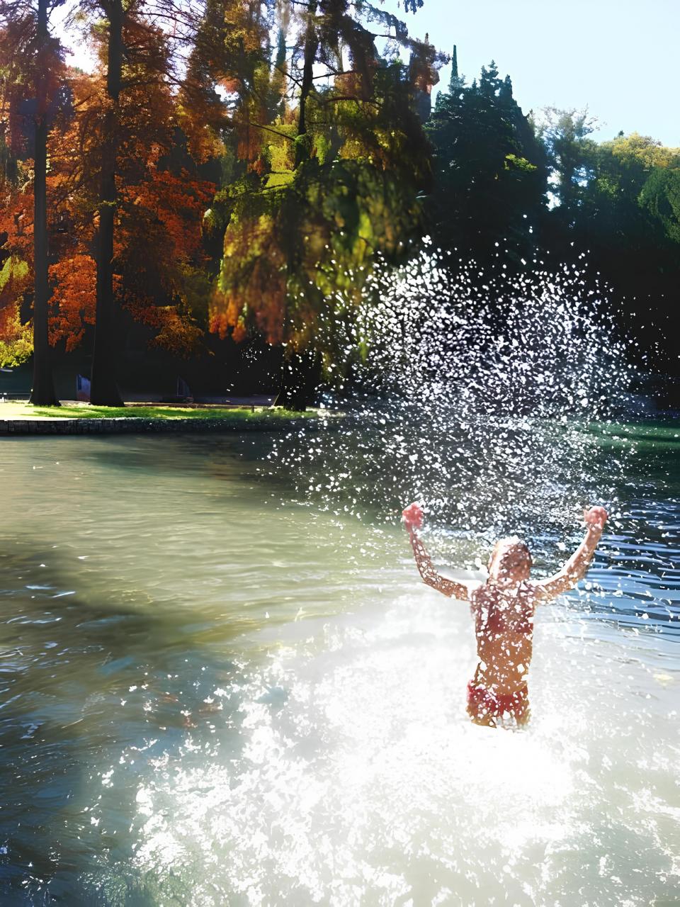 Park daily reduced ticket