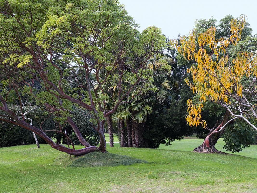  Il giardino del parco termale - villa dei cedri